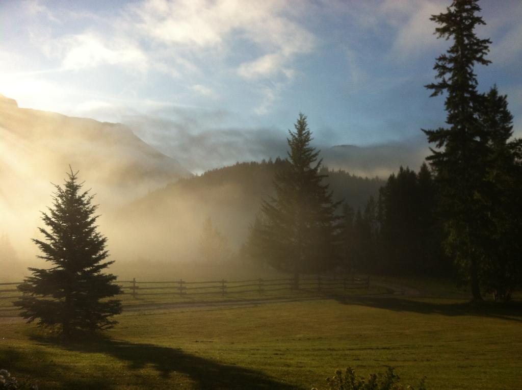Home Lodge Golden Buitenkant foto